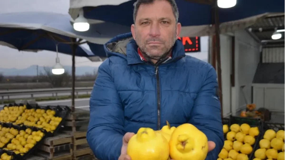 AYAZ VURDU, AYVA CEP YAKIYOR: İHRACAT DÜŞTÜ, FİYATLAR FIRLADI