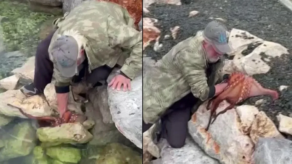 DEV AHTAPOTU ÇIPLAK ELLERİYLE YAKALADI: O ANLAR SOSYAL MEDYADA GÜNDEM OLDU