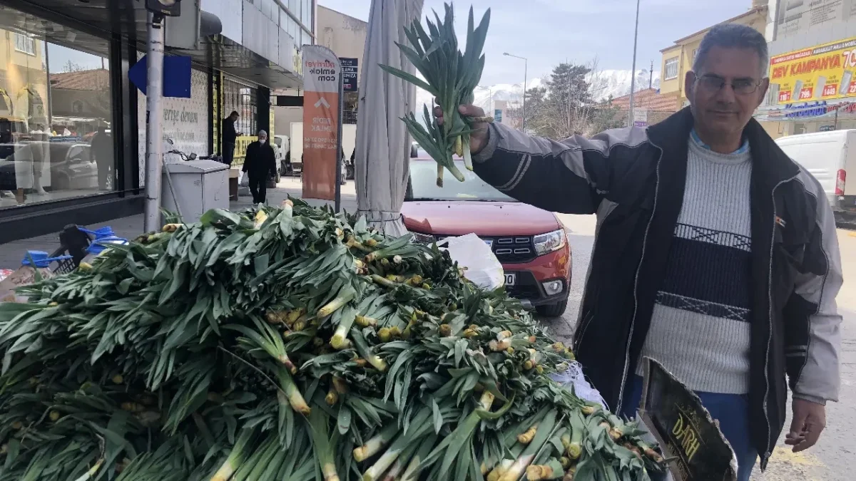 DOĞANIN ŞİFASI ORTAYA ÇIKTI: KARLAR ERİDİ, ÇİRİŞ OTU TEZGAHLARA İNDİ